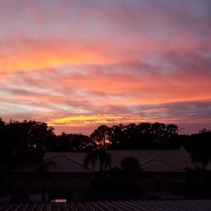 Meet your Posher, Luna